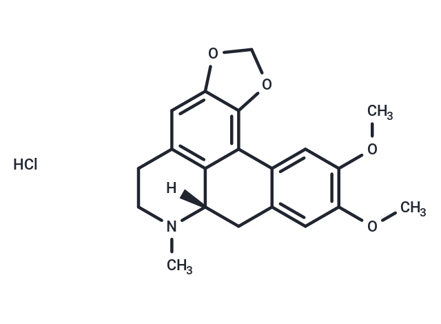 化合物 Dicentrine HCl,Dicentrine HCl