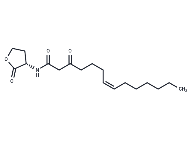 化合物 Δ7(Z)-C14-HSL,Δ7(Z)-C14-HSL