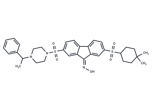 YAP/TAZ 抑制劑 1,YAP/TAZ inhibitor-1