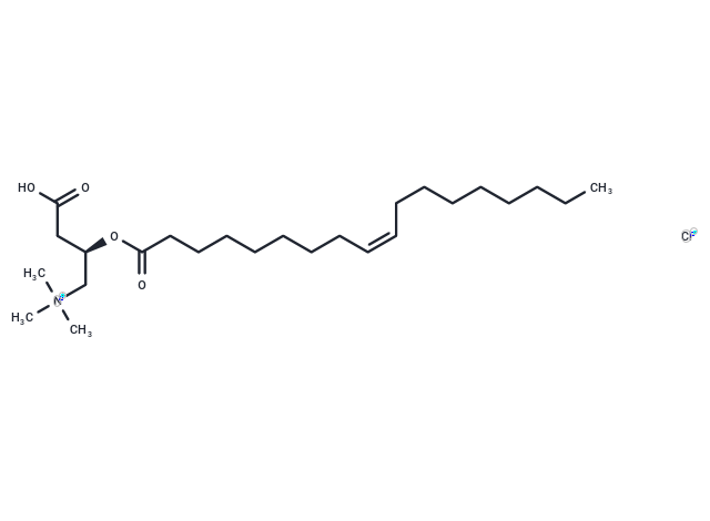 化合物 Oleoyl-L-carnitine chloride,Oleoyl-L-carnitine chloride