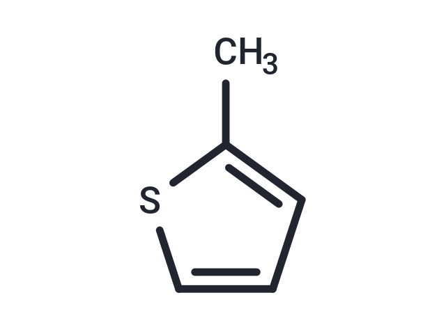 化合物 2-Methylthiophene,2-Methylthiophene