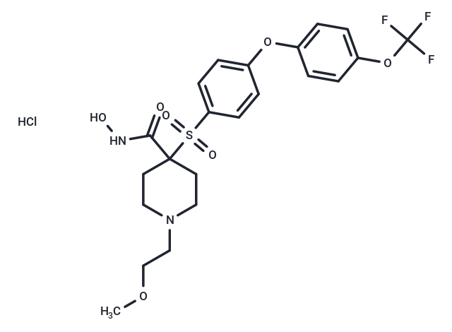 化合物 SD-2590 HCl,SD-2590 HCl