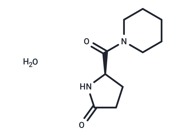 化合物 Fasoracetam monohydrate,Fasoracetam monohydrate