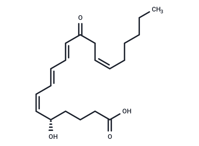 12-oxo Leukotriene B4,12-oxo Leukotriene B4