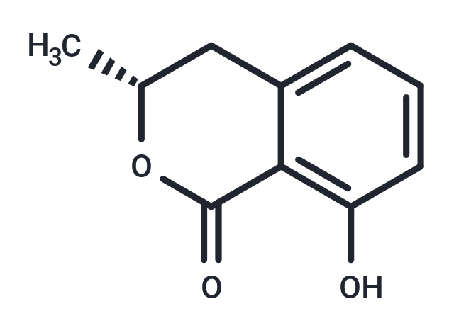 化合物 Mellein,Mellein