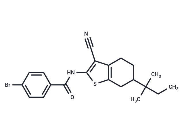 Glucagon Receptor Antagonist Inactive Control,Glucagon Receptor Antagonist Inactive Control