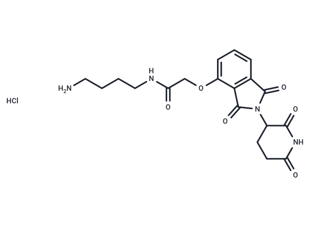 化合物 Thalidomide-O-amido-C4-NH2 hydrochloride,Thalidomide-O-amido-C4-NH2 hydrochloride