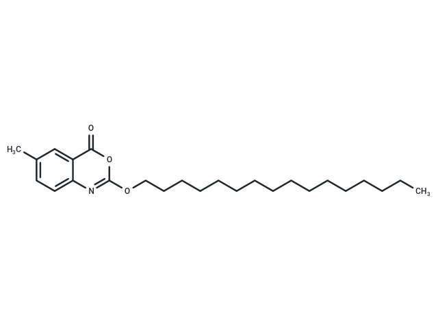 新利司他,Cetilistat