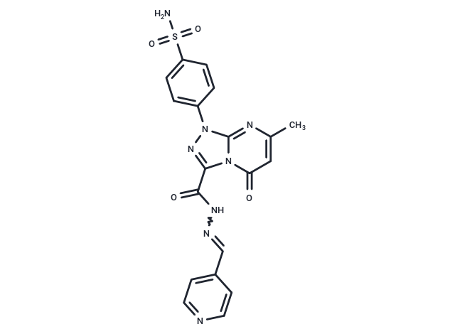 化合物 HCAIX-IN-2,HCAIX-IN-2