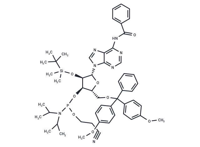 Bz-rA Phosphoramidite,Bz-rA Phosphoramidite