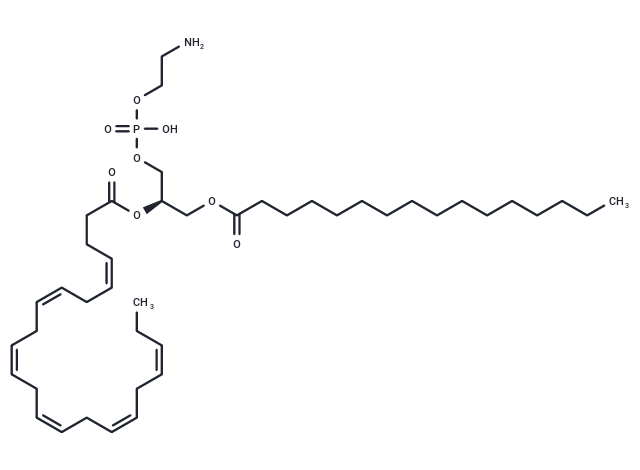 化合物 1-Palmitoyl-2-Docosahexaenoyl-sn-glycero-3-PE,1-Palmitoyl-2-Docosahexaenoyl-sn-glycero-3-PE