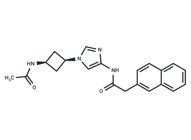 GSK-3/CDK5/CDK2-IN-1,GSK-3/CDK5/CDK2-IN-1