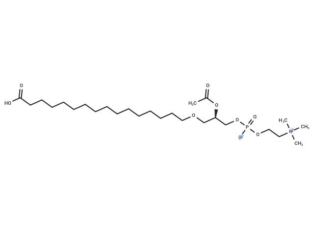 PAF C-16 Carboxylic Acid,PAF C-16 Carboxylic Acid