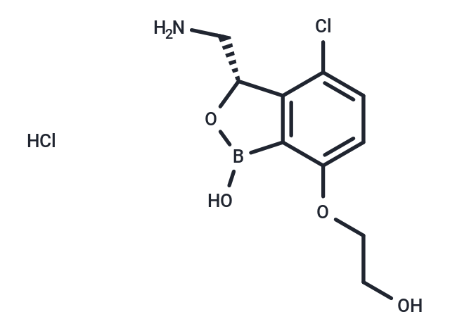 Ganfeborole 鹽酸鹽,Ganfeborole HCl