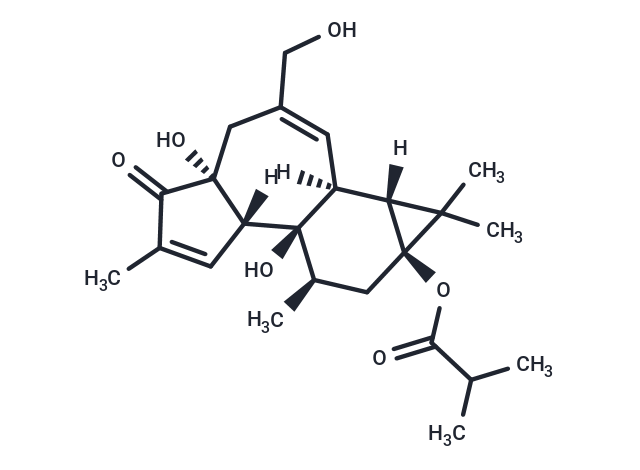 化合物 ER272,ER272