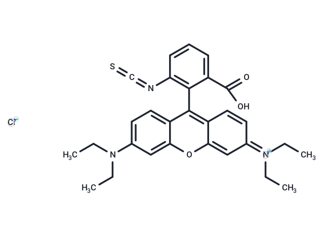 羅丹明 B 異硫氰酸酯,RBITC [Rhodamine B 5-isothiocyanate]