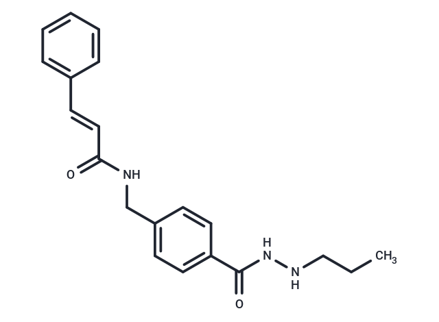 HDAC3 Inhibitor,HDAC3 Inhibitor