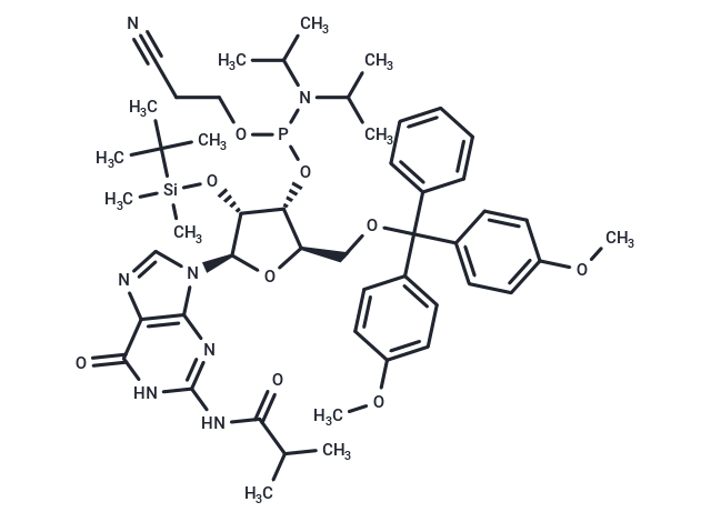 化合物 I-bu-rG Phosphoramidite,I-bu-rG Phosphoramidite