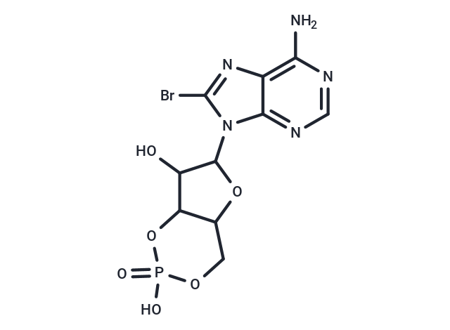 8-bromo-Cyclic AMP,8-bromo-Cyclic AMP