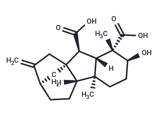 化合物 Gibberellin A14,Gibberellin A14