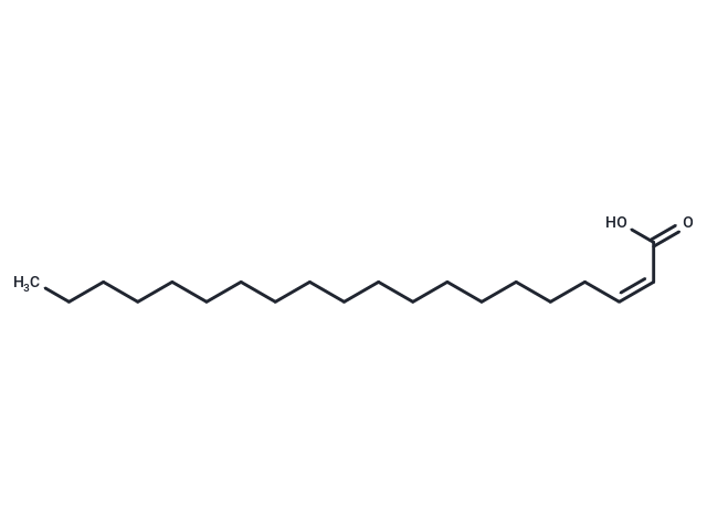 化合物 Δ2-cis Eicosenoic Acid,Δ2-cis Eicosenoic Acid