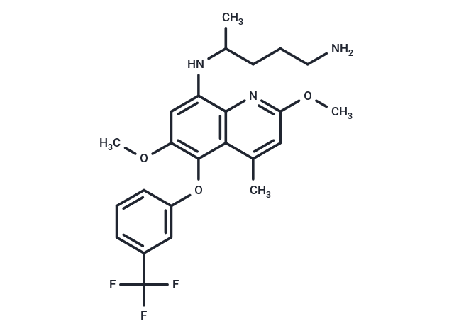 他非諾喹,Tafenoquine