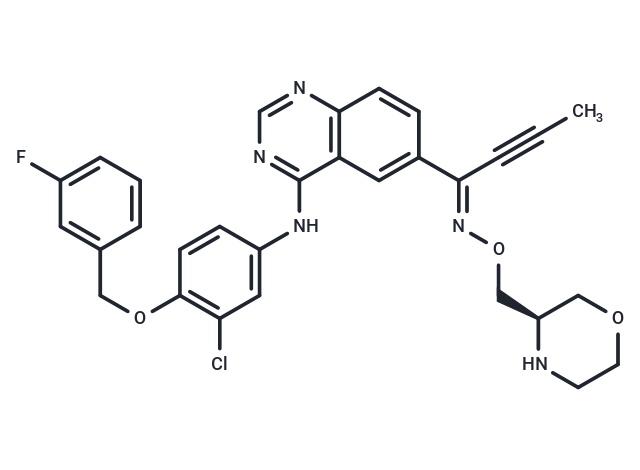 化合物 Epertinib,Epertinib