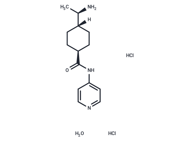 化合物 Y27632 HCl hydrate,Y27632 HCl hydrate