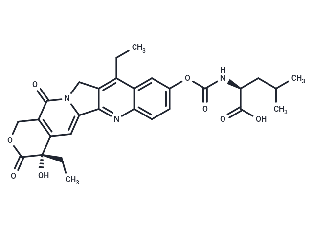 化合物 ZBH-1205,ZBH-1205