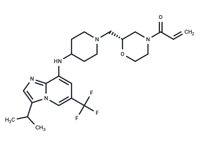 CDK7/9-IN-1,CDK7/9-IN-1