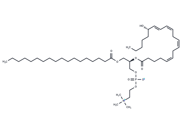 1-Stearoyl-2-15(S)-HETE-sn-glycero-3-PC,1-Stearoyl-2-15(S)-HETE-sn-glycero-3-PC