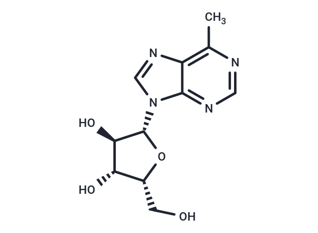 化合物 6-Methyl-9-(beta-D-xylofuranosyl)purine,6-Methyl-9-(beta-D-xylofuranosyl)purine