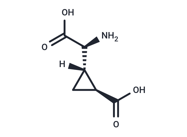 化合物 L-CCG-l,L-CCG-l