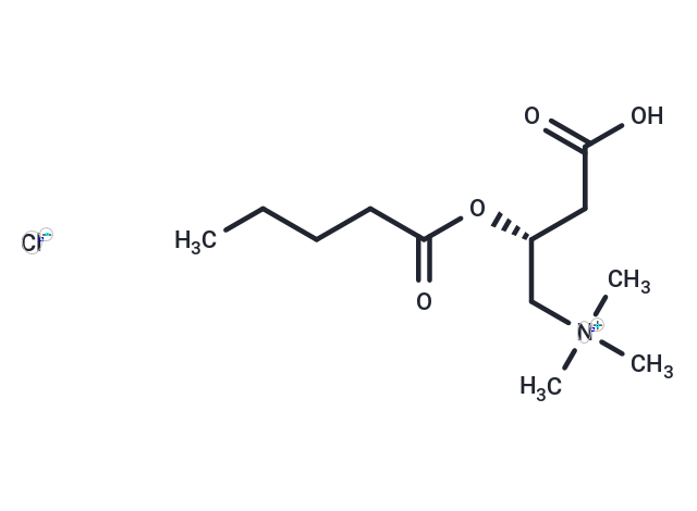 Valeryl-L-carnitine (chloride),Valeryl-L-carnitine (chloride)