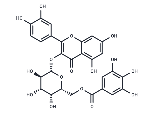 槲皮素3-O-(6''-沒(méi)食子?；?-Β-D-半乳糖苷,Quercetin 3-O-(6''-galloyl)-β-D-galactopyranoside