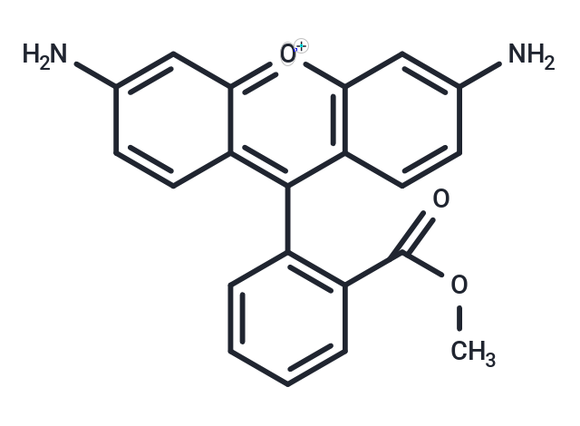 化合物 Rhodamine 123 free base,Rhodamine 123 free base