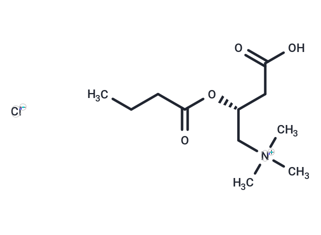 Butyryl-L-carnitine (chloride),Butyryl-L-carnitine (chloride)