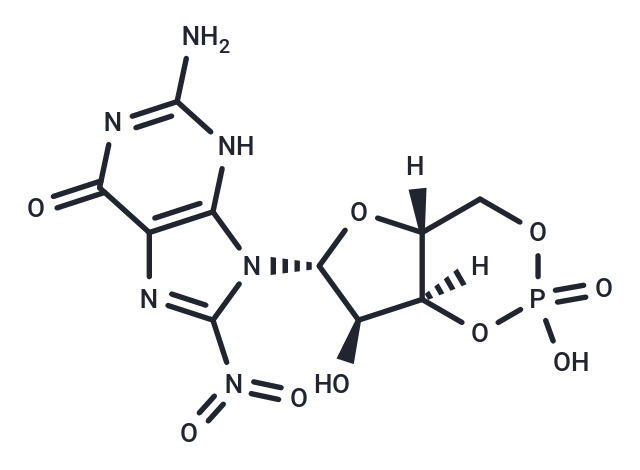 化合物 8-Nitro-cGMP,8-Nitro-cGMP