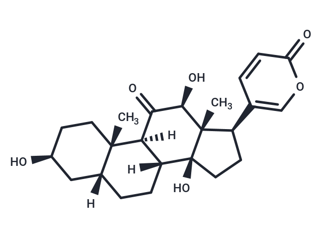 偽異沙蟾毒精,Bufarenogin