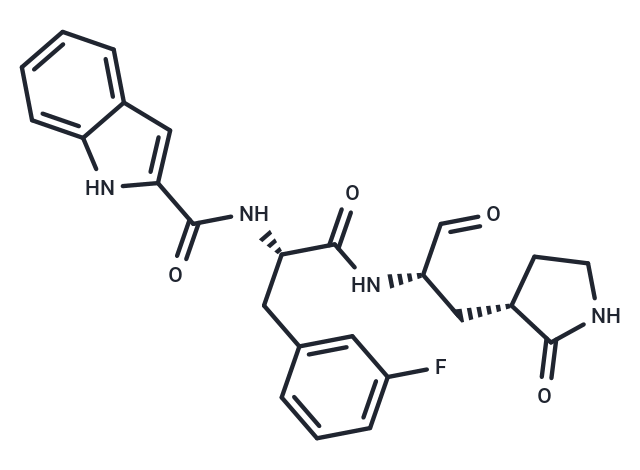 MPro Inhibitor 11b,SARS-CoV MPro-IN-1