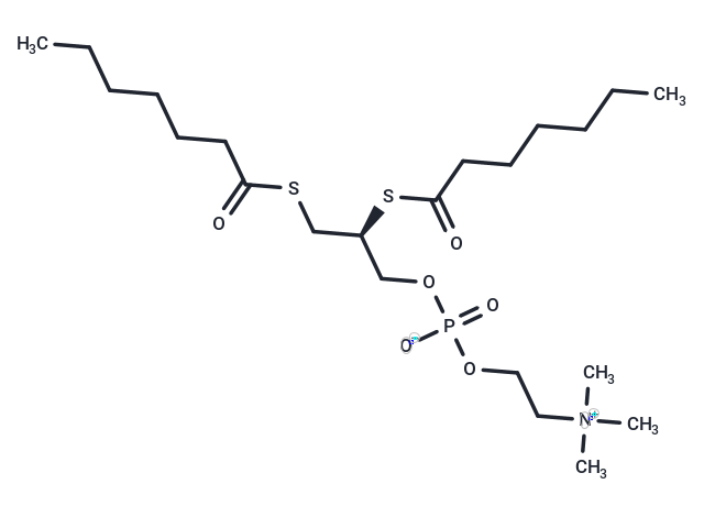 1,2-bis(heptanoylthio) Glycerophosphocholine,1,2-bis(heptanoylthio) Glycerophosphocholine