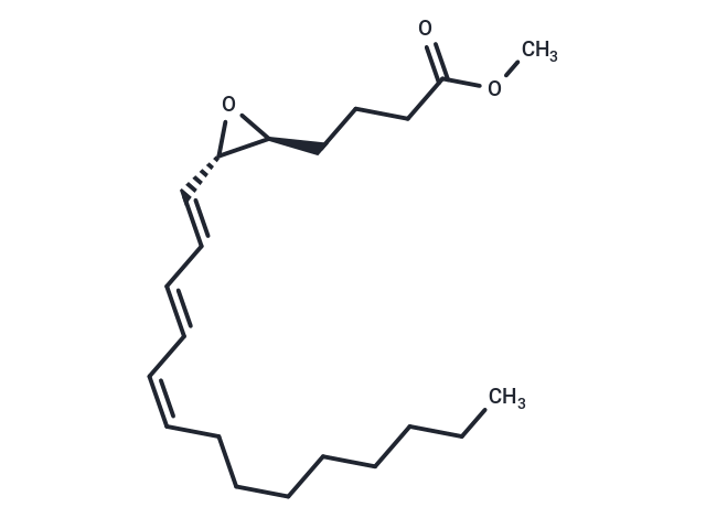 Leukotriene A3 methyl ester,Leukotriene A3 methyl ester