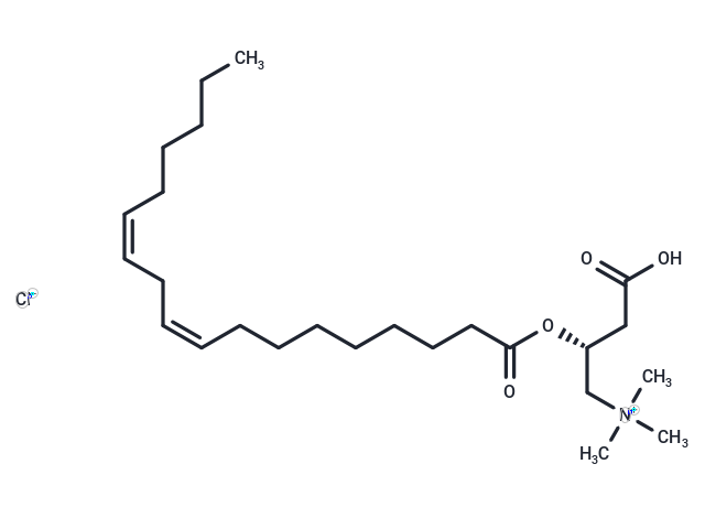 Linoleoyl-L-carnitine (chloride),Linoleoyl-L-carnitine (chloride)