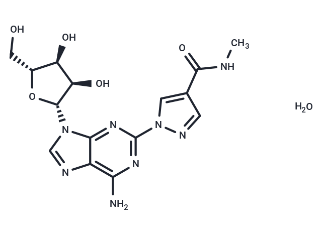 化合物 Regadenoson hydrate,Regadenoson hydrate