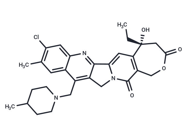 化合物 Elomotecan,Elomotecan