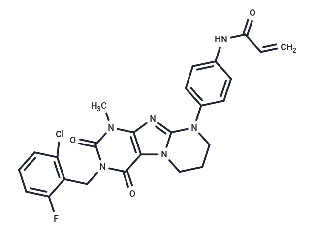 化合物 KRAS G12C inhibitor 31,KRAS G12C inhibitor 31