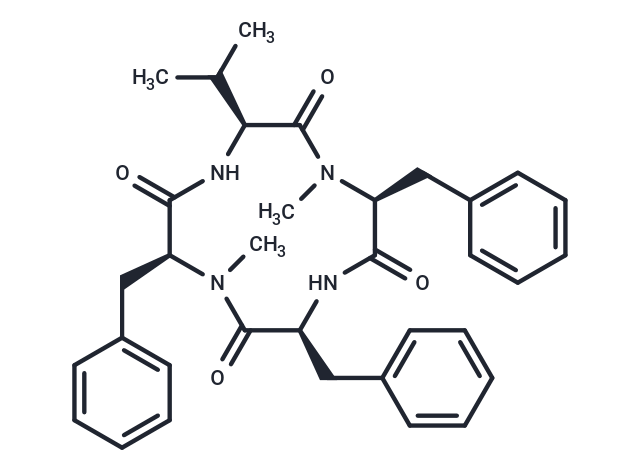 Hirsutide,Hirsutide