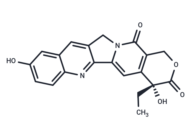 9-羥基喜樹堿,9-Hydroxycamptothecin