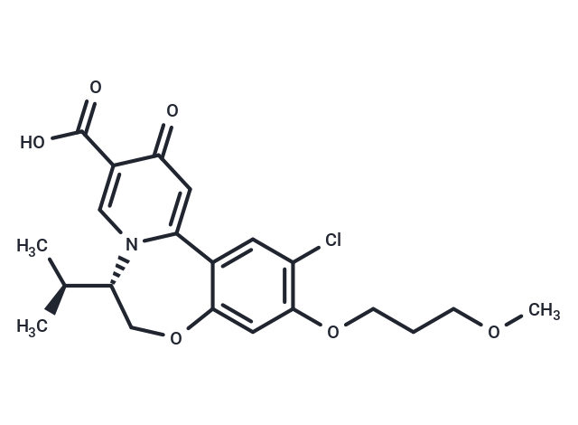 化合物 HBV-IN-11,HBV-IN-11