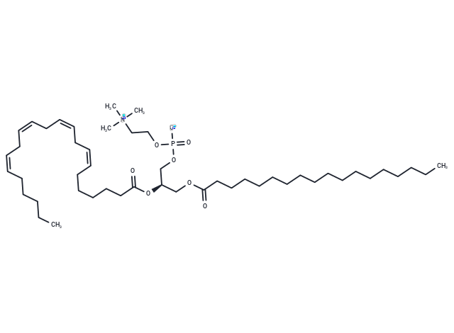 化合物 1-Stearoyl-2-Adrenoyl-sn-glycero-3-PC,1-Stearoyl-2-Adrenoyl-sn-glycero-3-PC